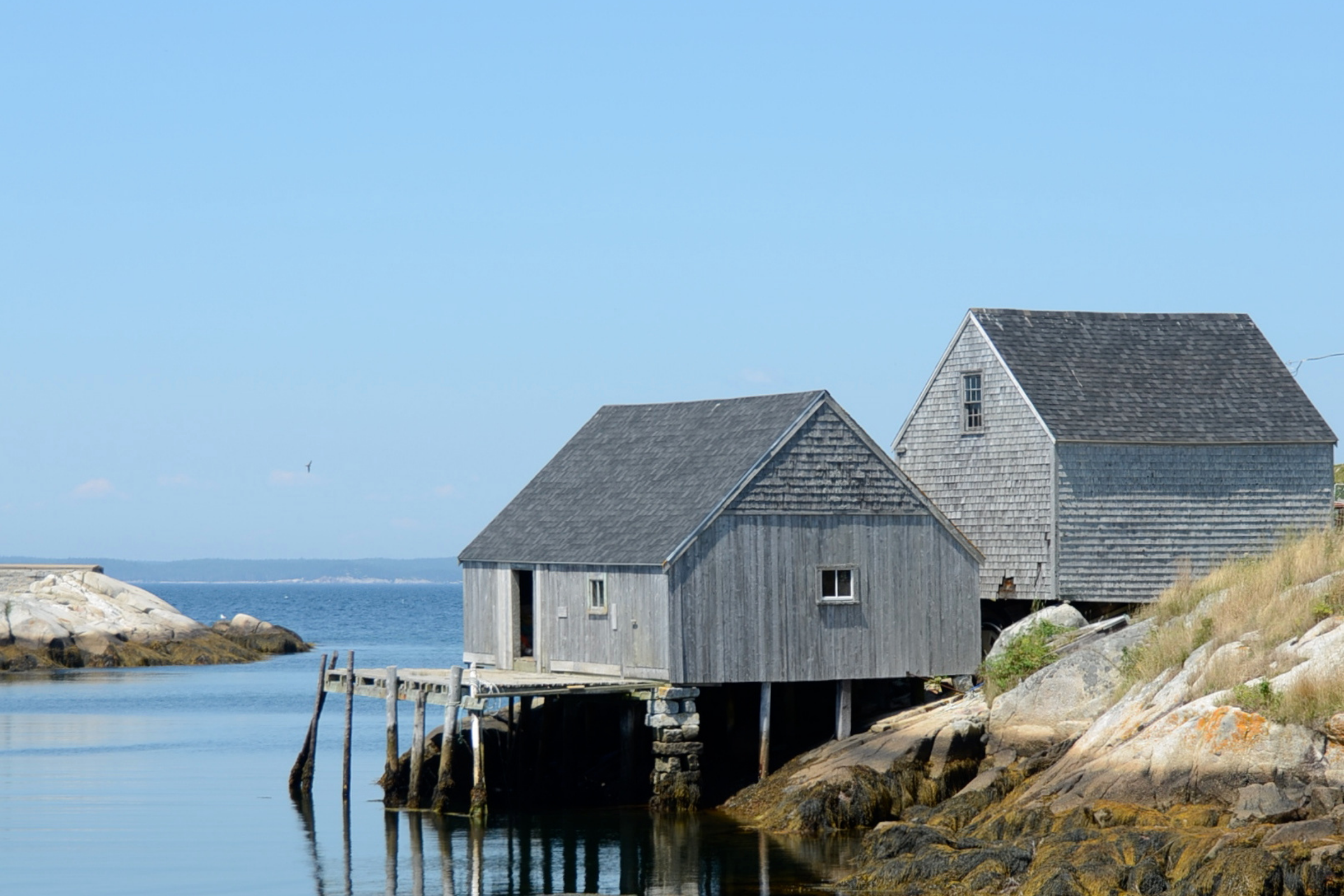 peggys cove, nova scotia (4).webp